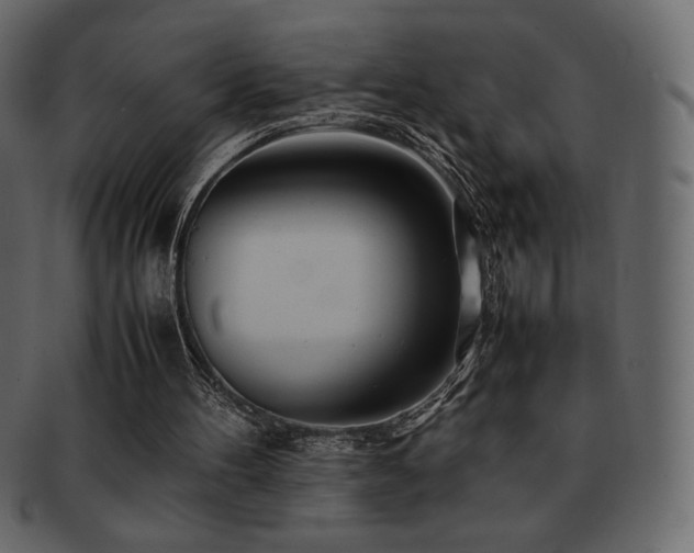 X0000093160100200709261517