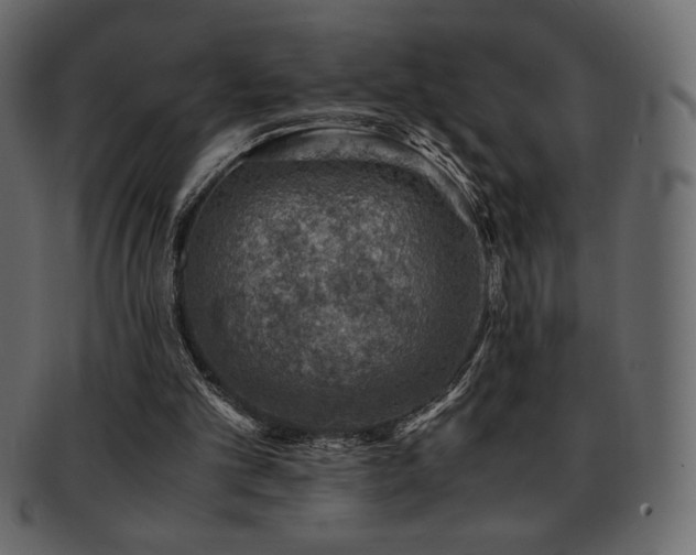 X0000093160101200709261517