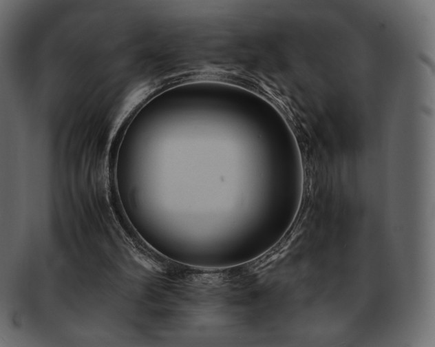 X0000093160102200709261517