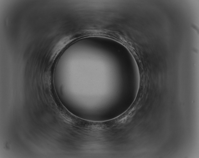 X0000093160103200709261517