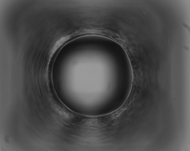 X0000093160104200709261517