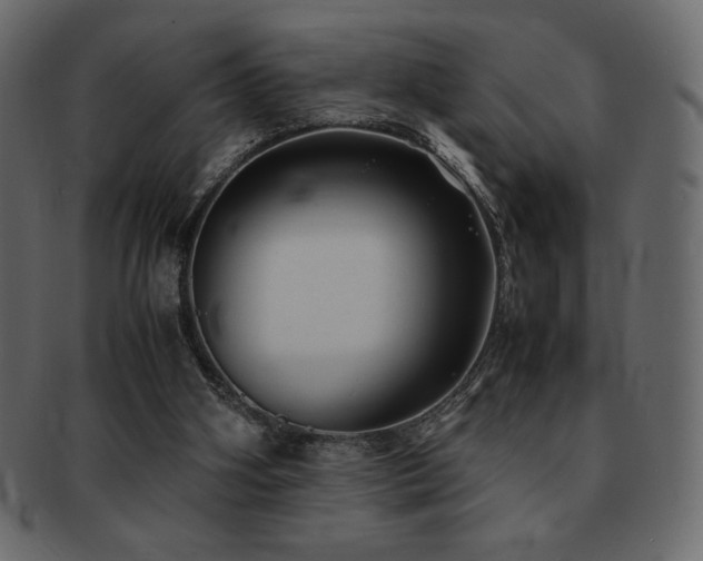 X0000093160106200709261517