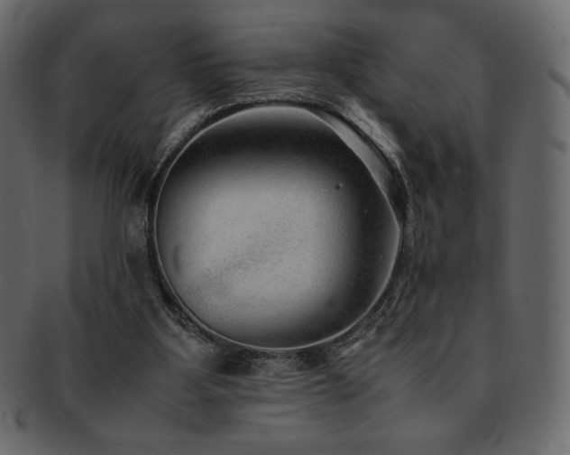 X0000093160107200709261517