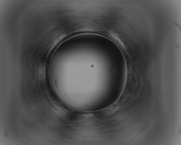 X0000093160108200709261517