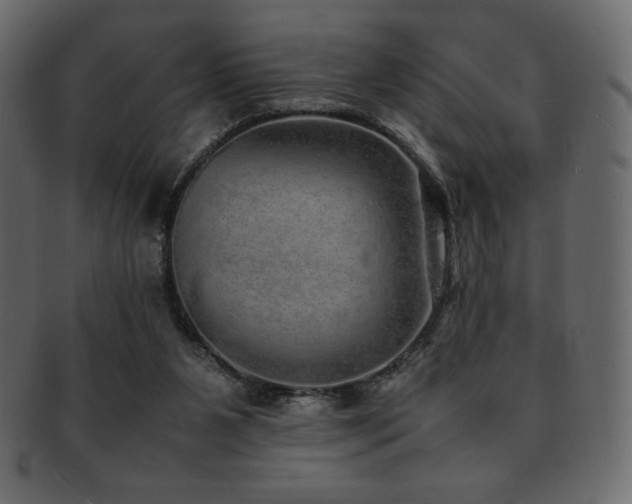 X0000093160111200709261517