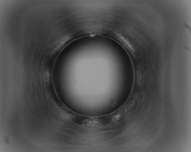 X0000093160113200709261517