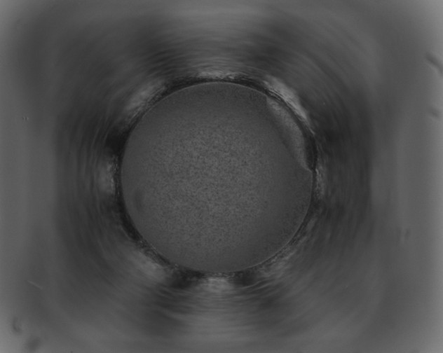 X0000093160114200709261517