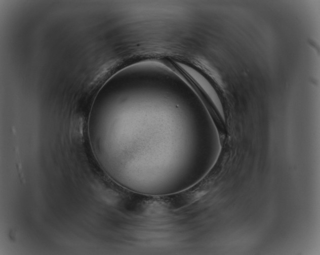 X0000093160115200709261517