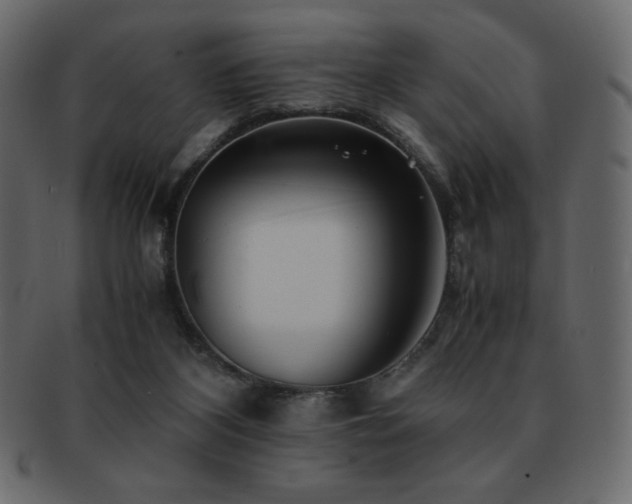 X0000093160116200709261517