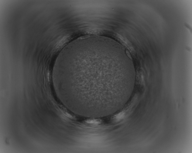 X0000093160117200709261516