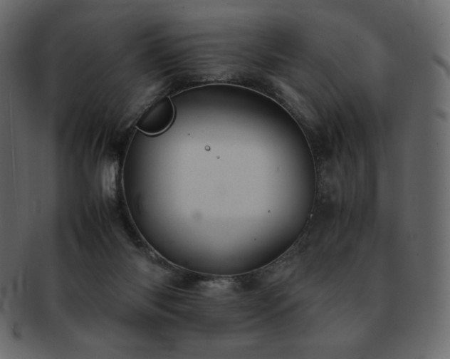 X0000093160118200709261516