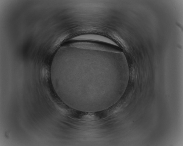 X0000093160119200709261516