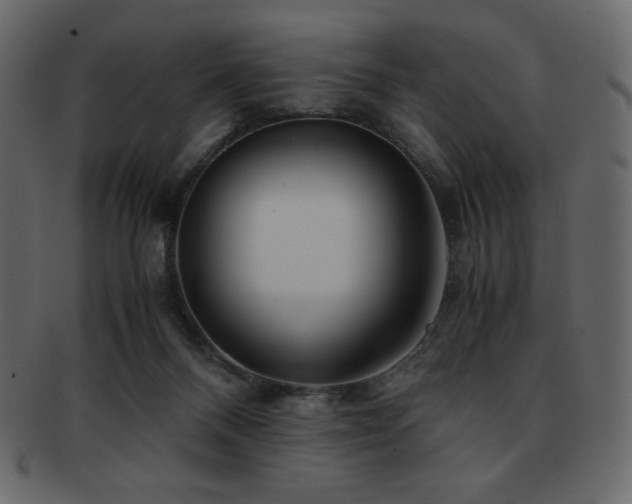 X0000093160120200709261516