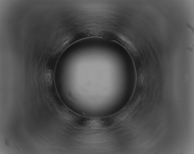 X0000093160121200709261516