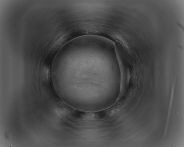 X0000093160123200709261516