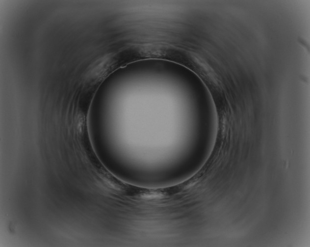 X0000093160125200709261516