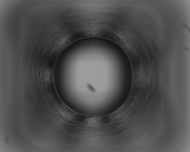X0000093160126200709261516