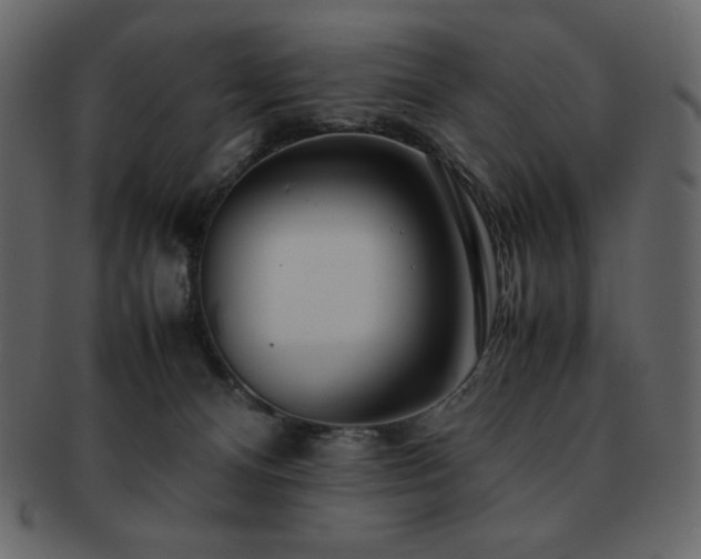 X0000093160128200709261516