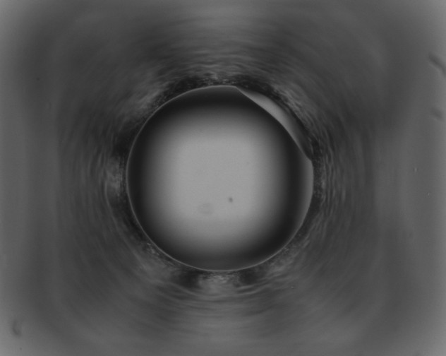 X0000093160129200709261516