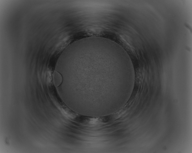 X0000093160130200709261516