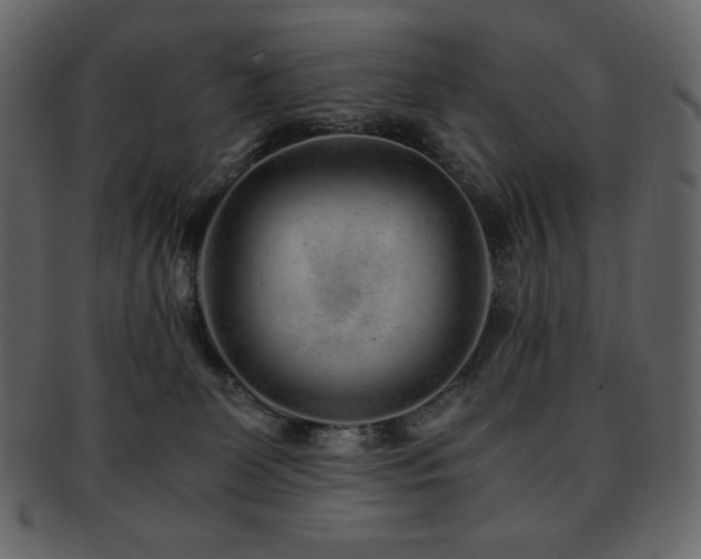 X0000093160131200709261516