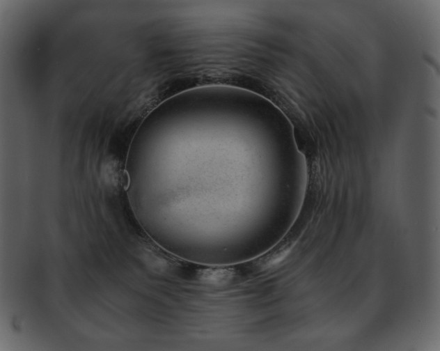 X0000093160135200709261516