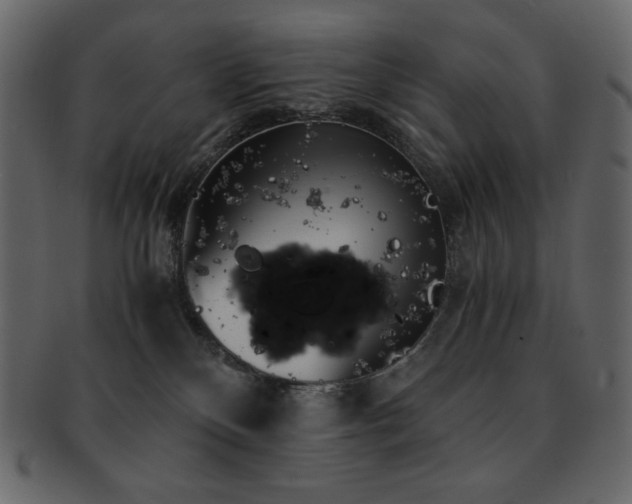 X0000093160136200709261516