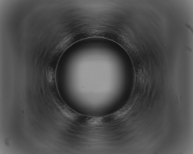 X0000093160138200709261516