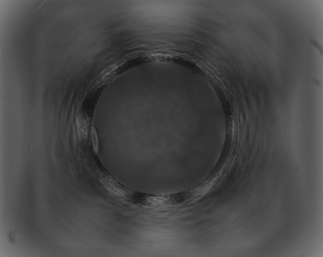 X0000093160139200709261516