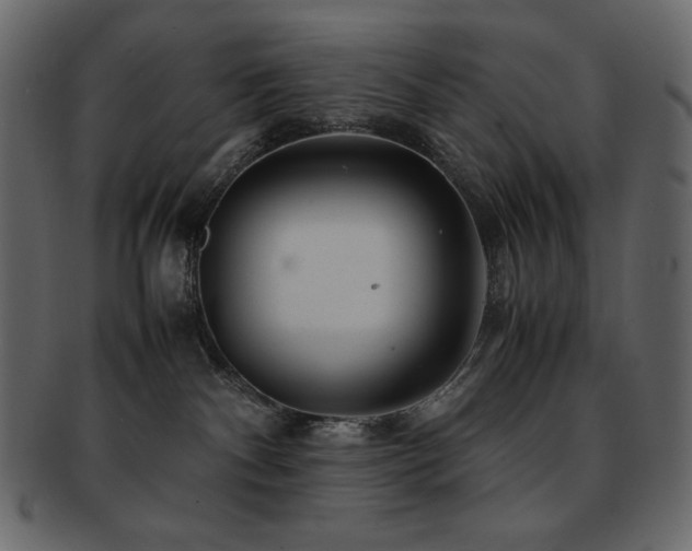 X0000093160140200709261516