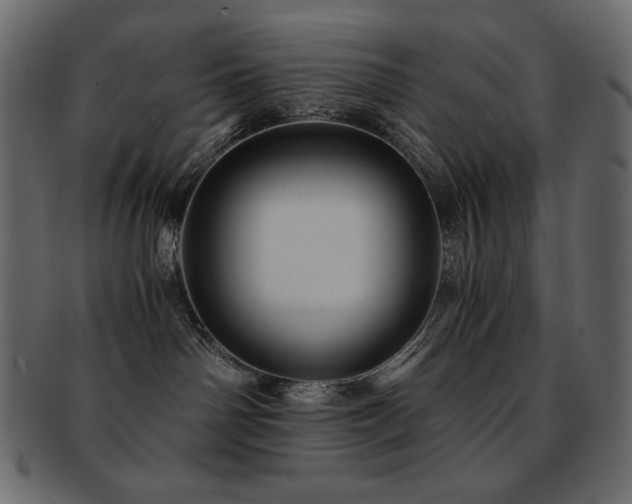X0000093160142200709261516