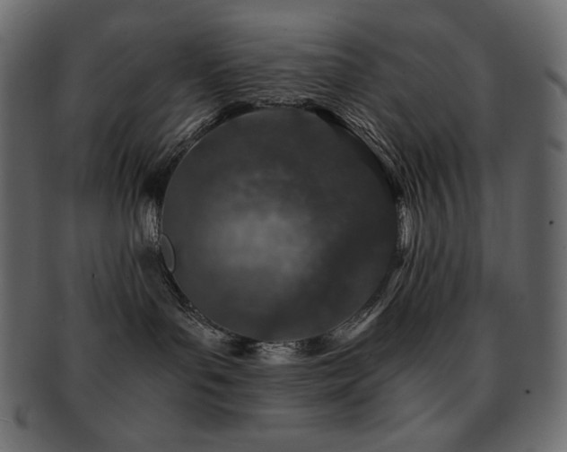 X0000093160143200709261516