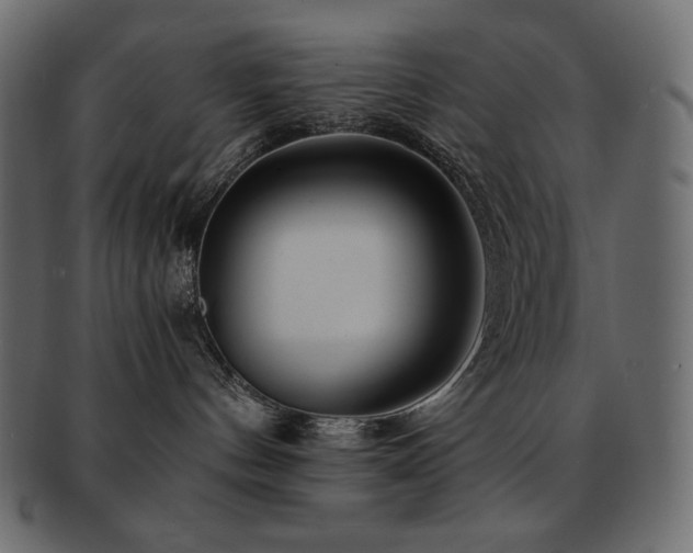 X0000093160144200709261516