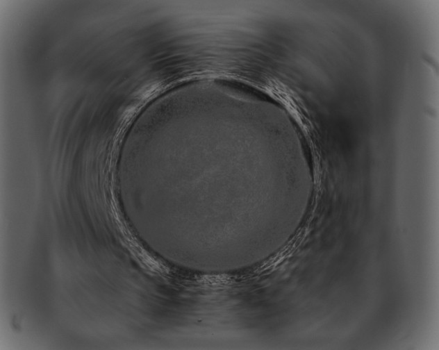 X0000093160145200709261516