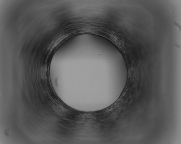 X0000093160146200709261516