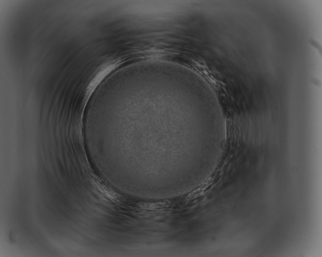 X0000093160147200709261516