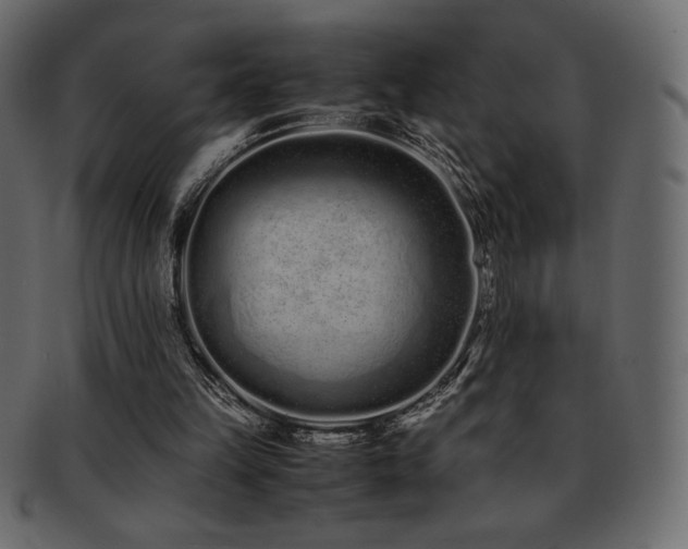 X0000093160149200709261516
