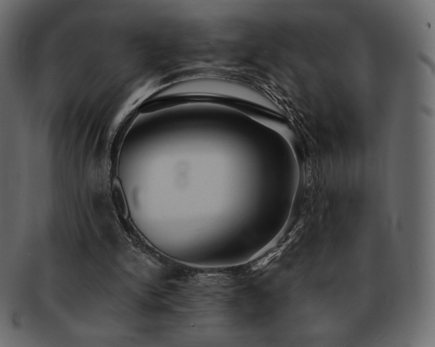 X0000093160150200709261516