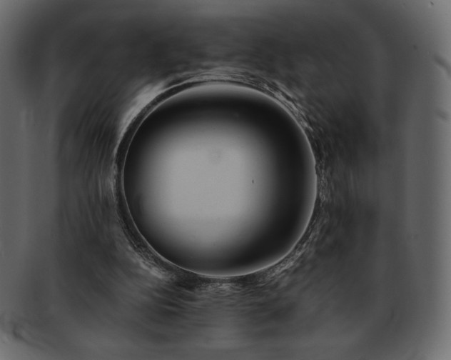 X0000093160152200709261516