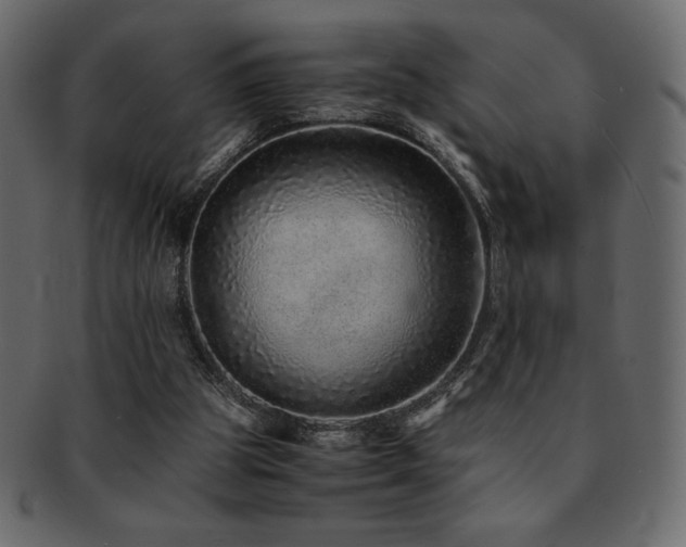 X0000093160153200709261516