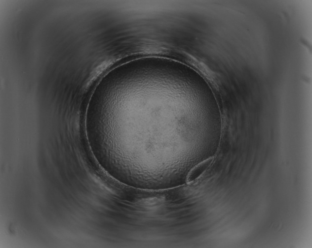 X0000093160155200709261516