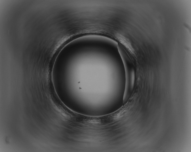 X0000093160156200709261516