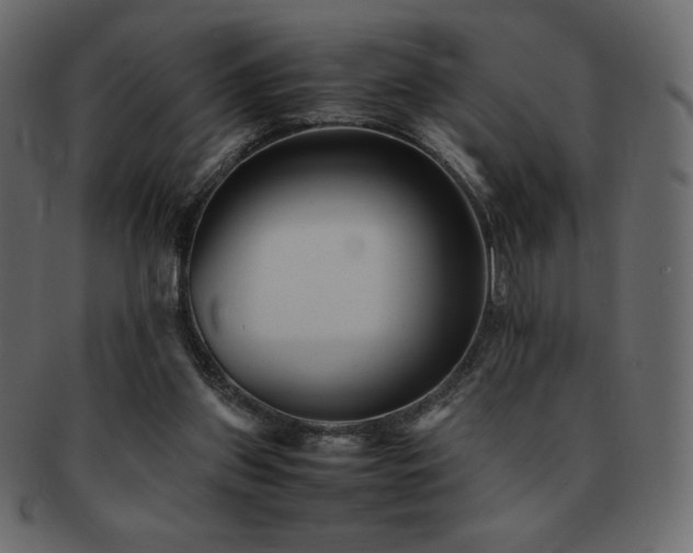 X0000093160157200709261516