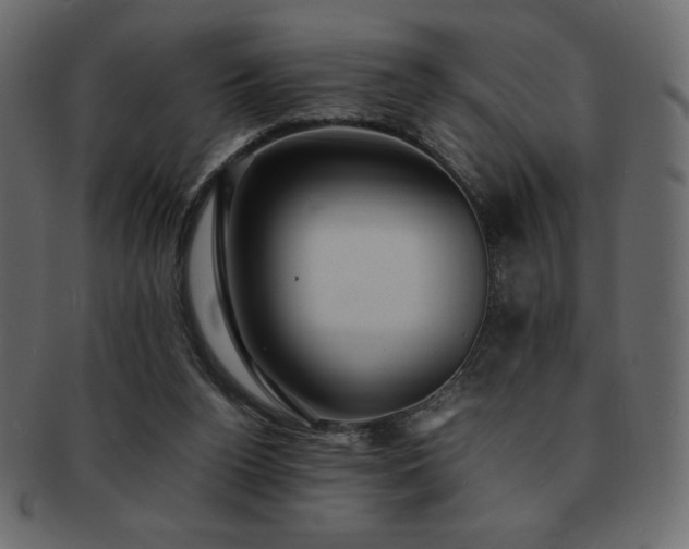 X0000093160160200709261516