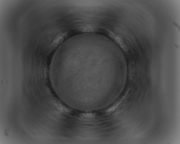 X0000093160161200709261516