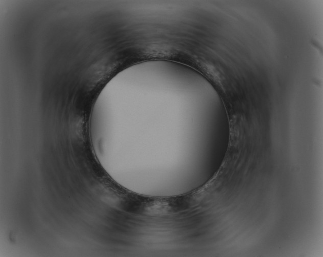 X0000093160162200709261516