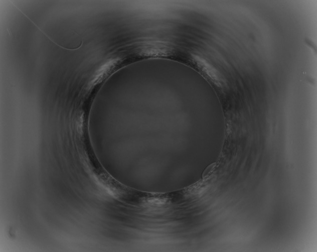 X0000093160163200709261516