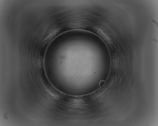 X0000093160165200709261516