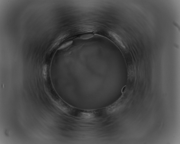 X0000093160167200709261516