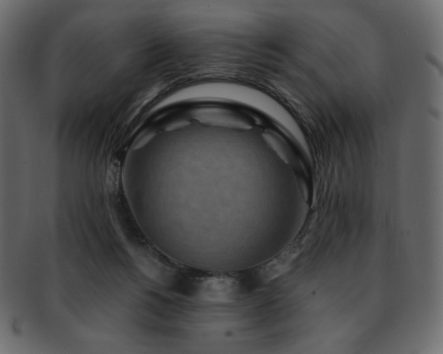 X0000093160168200709261516